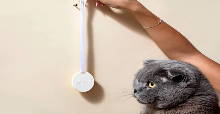 MoodifyPet Featured Image