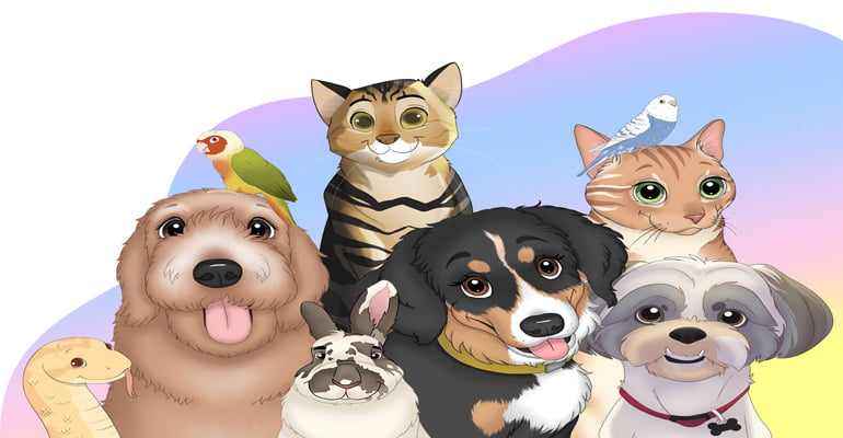 Pet Creations Featured Image