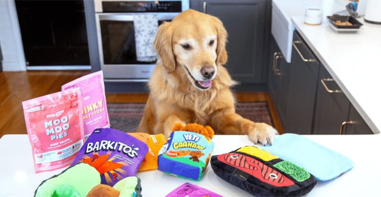 Barkox: Revolutionary Pet Care with Innovation and Love