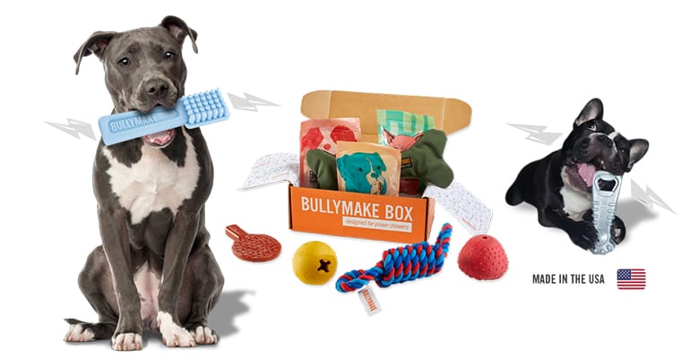 Bullymake Featured Image