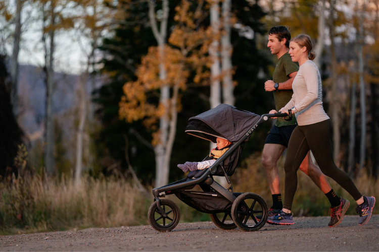 Guava Family vs UPPAbaby — Premium Baby Gear at Very Different Prices