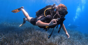 Padi Dive Into Adventure