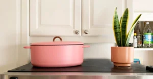 Great Jones Cookware Review — Beautiful Cookware That Performs, With Durability That Requires Honest Management