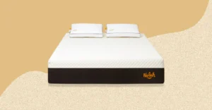 Nolah Mattress Review — The Evolution Earns Its Reputation, With Specific Policies Worth Knowing