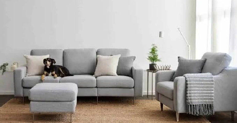 Cozey’s Sofas Arrive in Boxes and Snap Together. Are They Worth It in the US?