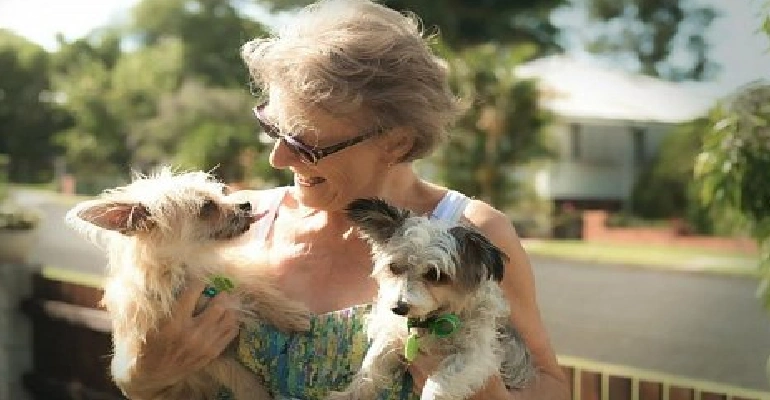 Wisdom Panel Review: Is It Worth It? Accuracy, Results & Hidden Details